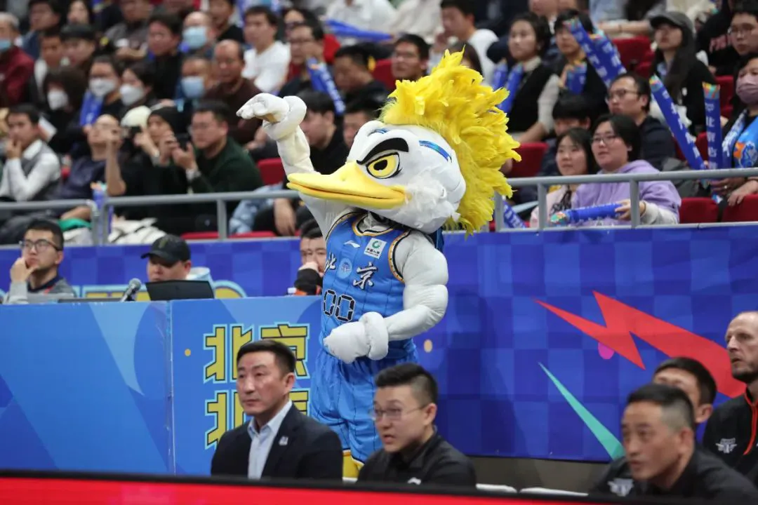 绳梯训练篮球_1